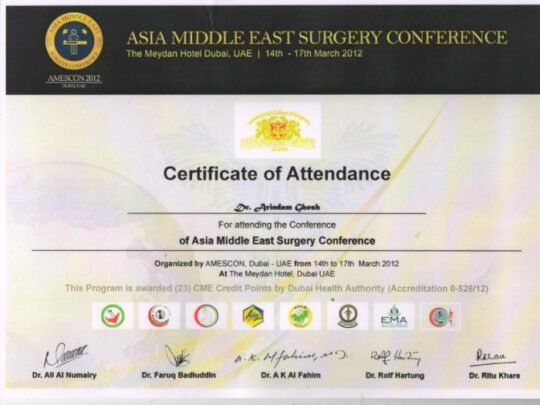 1733824395_1c5a6722603abd41b294