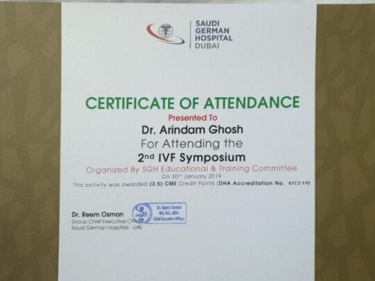 1733825173_b1b8333a3a12a3d8a8bb