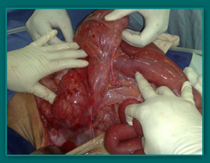 1733835408_864dcd776be66f38ab54