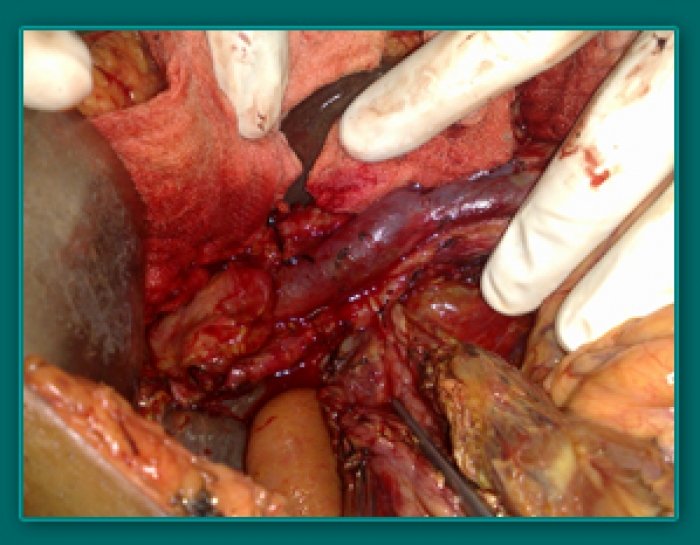 1733835620_1de54498ac015ec7474b