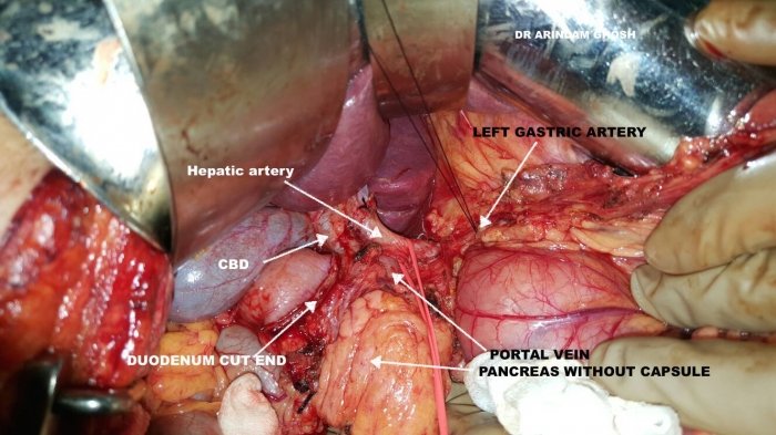 1733836163_024d979345d85e3c71dd