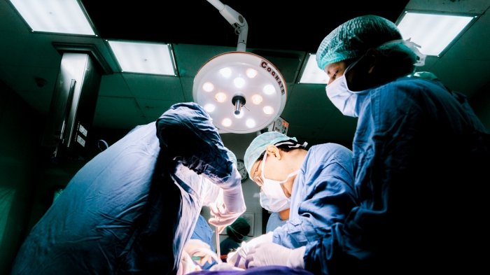 1733837310_17fe03c3c32d652bdb08