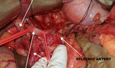 1734091270_2ea692a9867cd34441ab