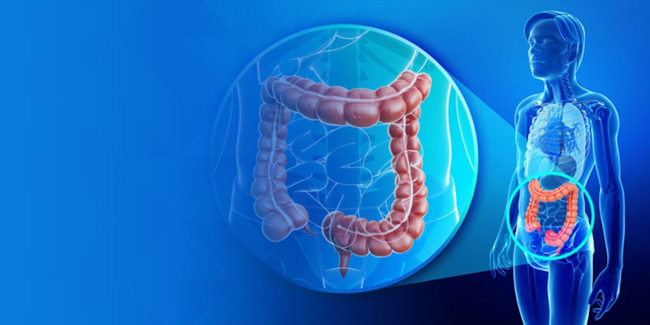 Understanding Colorectal Health: What You Need to Know
